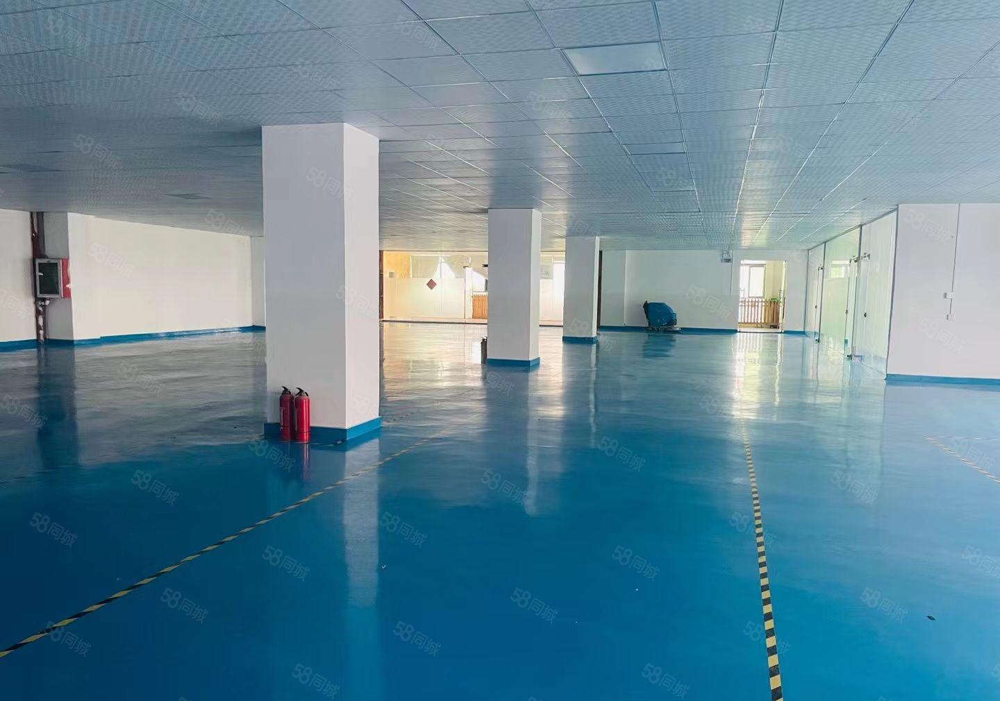 精装修石岩外环路1380平方厂房出租，水电到位，可办环评