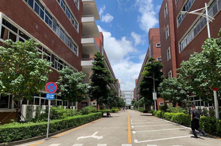 1000平起租龙华新出2万平方一二楼厂房仓库出租大小面积分租