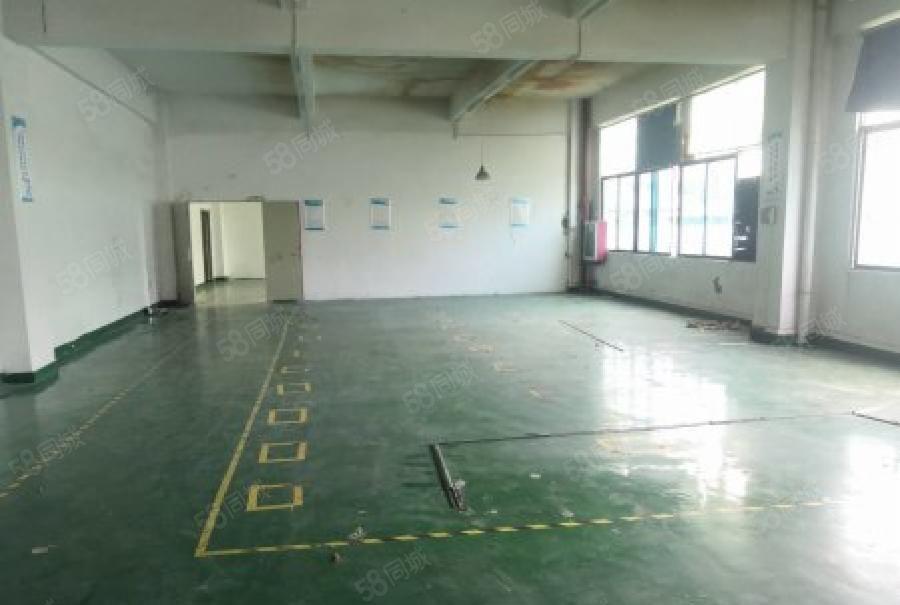 龙华中源工业区特价厂房700平原房东直租，龙华中心区