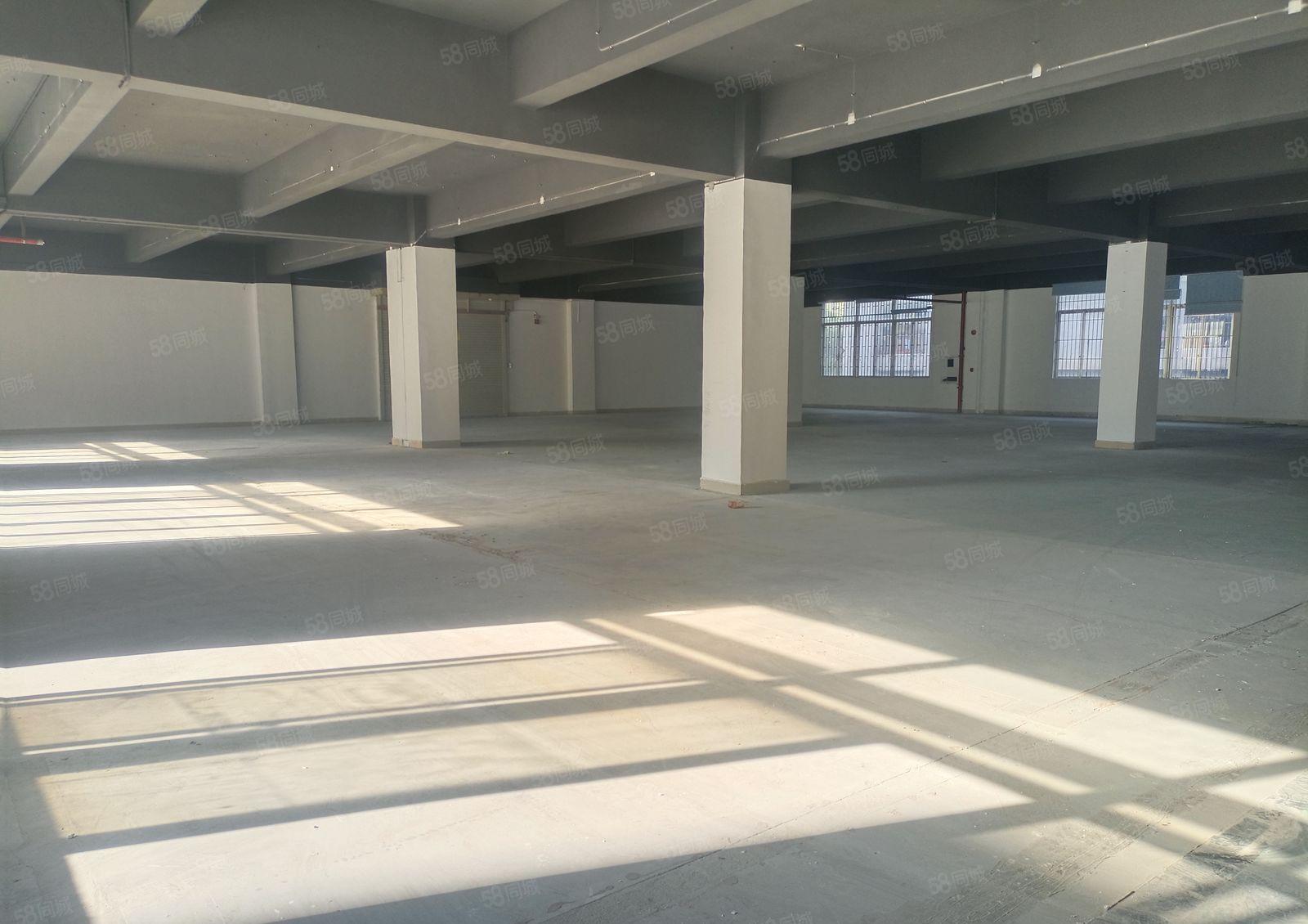 龙华油松花园式厂房整层3000平，200平起分租空地大好停车