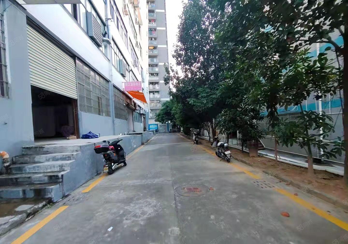 龙华民治油松新出一楼440平物流园厂房出租