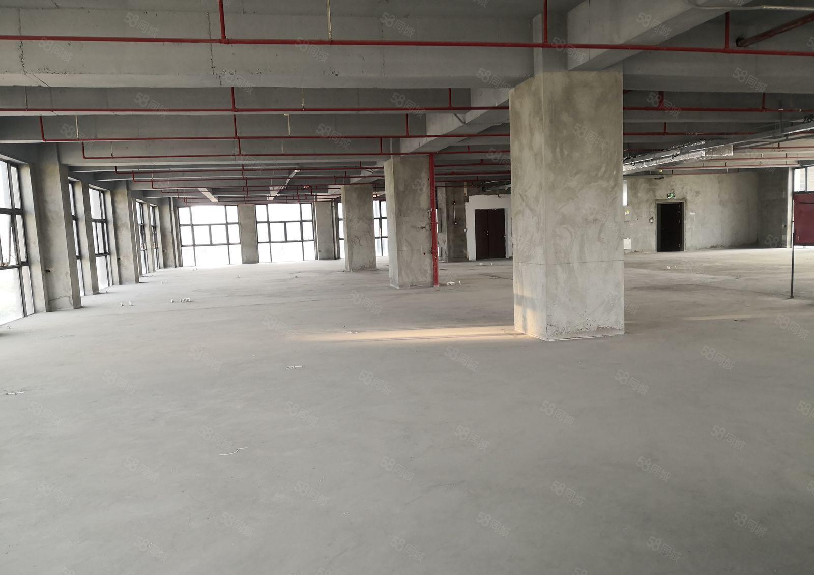 龙华观澜地铁站新建200万平生物医疗产业园5000平厂房出租