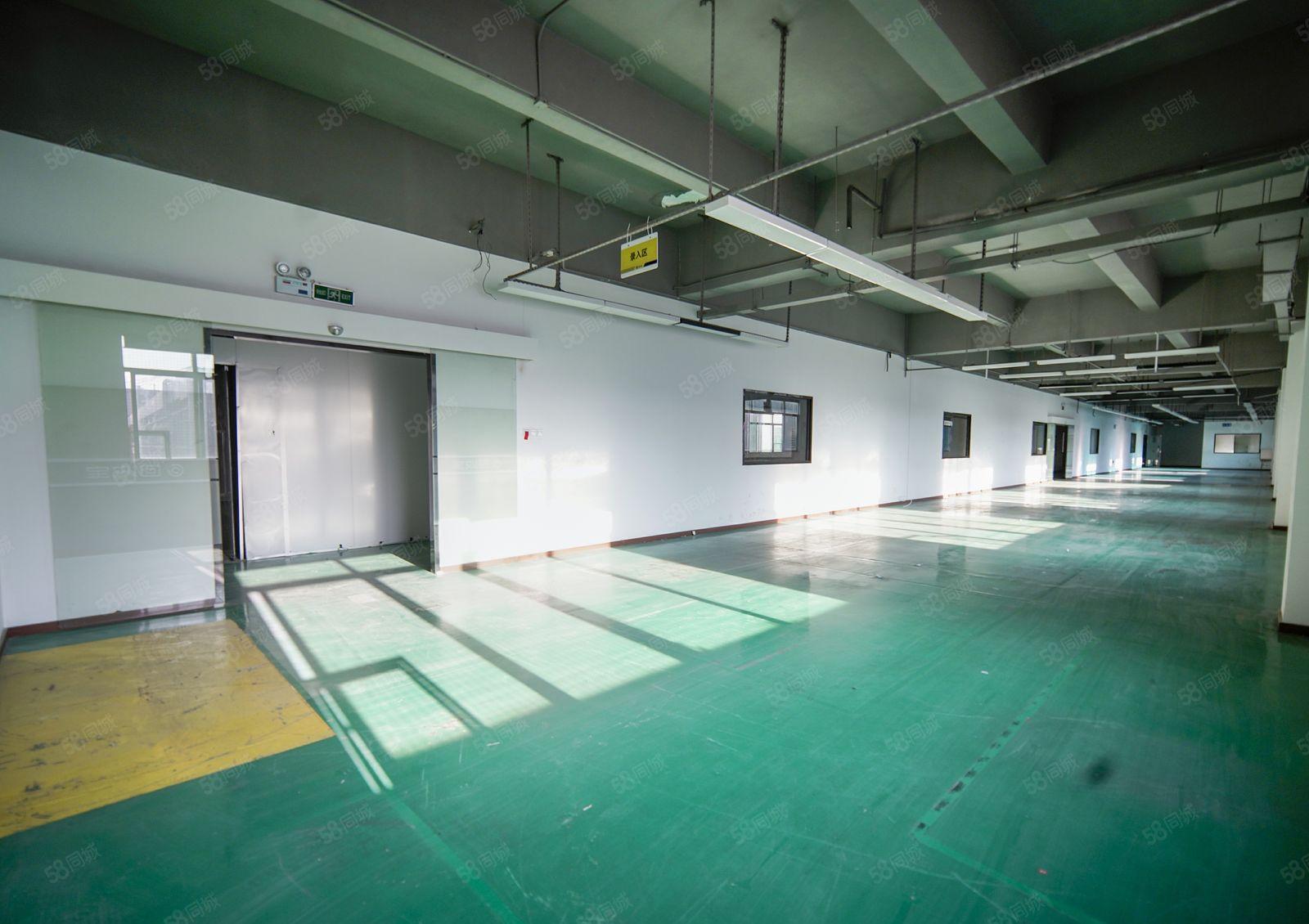 龙华汽车站左侧1000平米精装修办公厂房业主直租，易招工