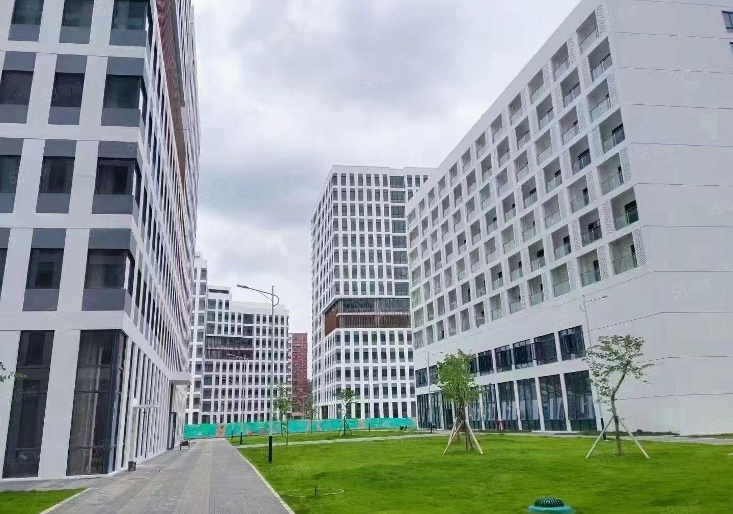 观澜福民新出全新厂房出租137998平大小可分租500平起租