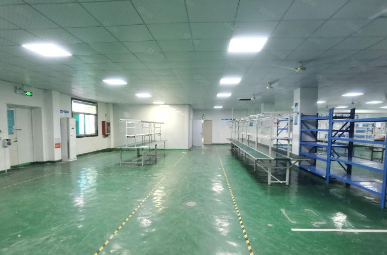 观澜福民精装修厂房出租1100平方，水电齐全无转让费可分租。