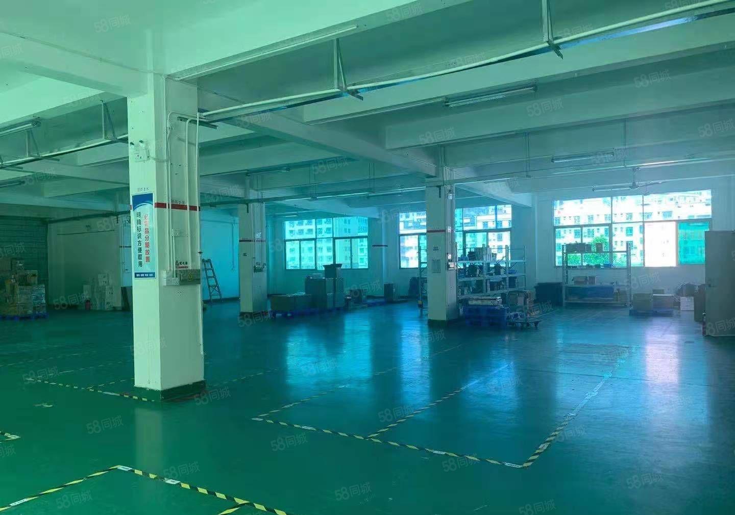 龙华大浪原房东楼上带红本1200平厂房出租，可分租