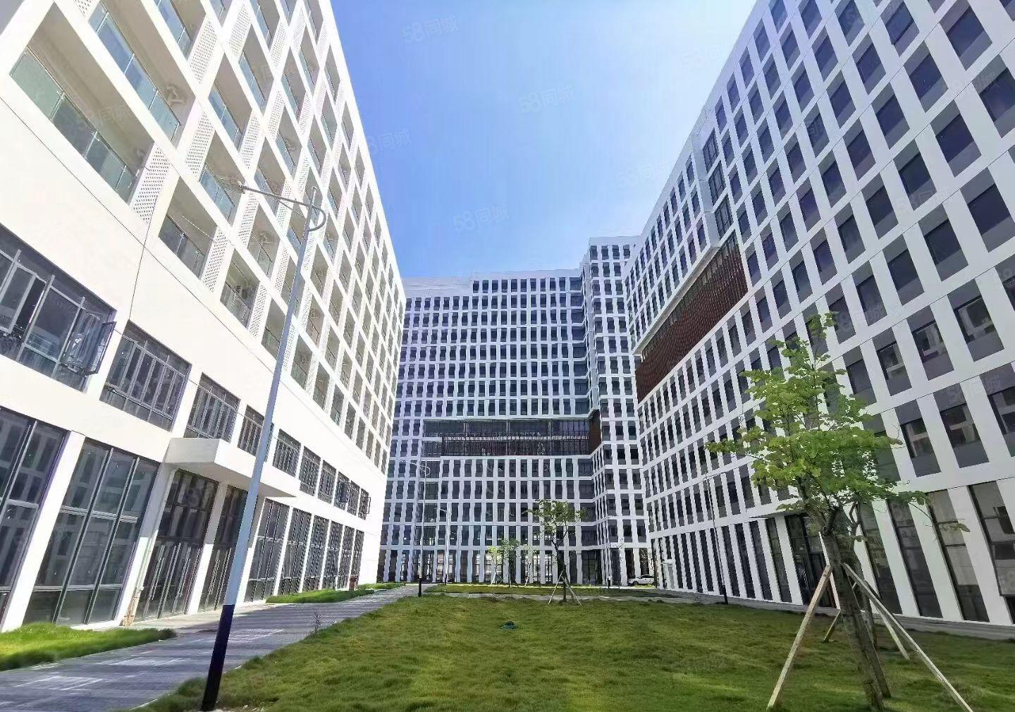 观澜全新高端数字创新园大小面积招租