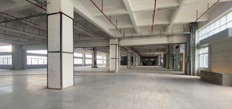 龙华大浪低价仓库生产研发办公厂房出租200平起分租定制精装修