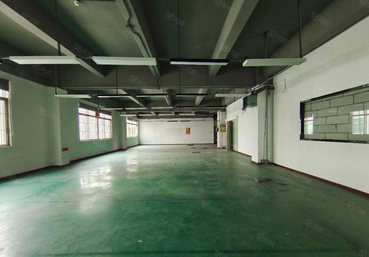 龙华汽车站附近楼上2100平精装厂房出租