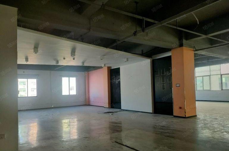 龙华油松花园式厂房楼上整层1500平可分租，适合电商仓库办公