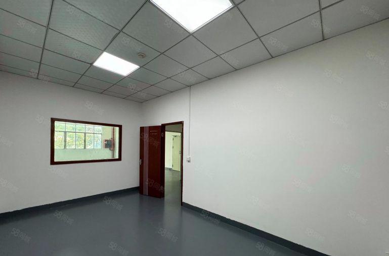 观澜新田原房东100至300平厂房出租 电商园区