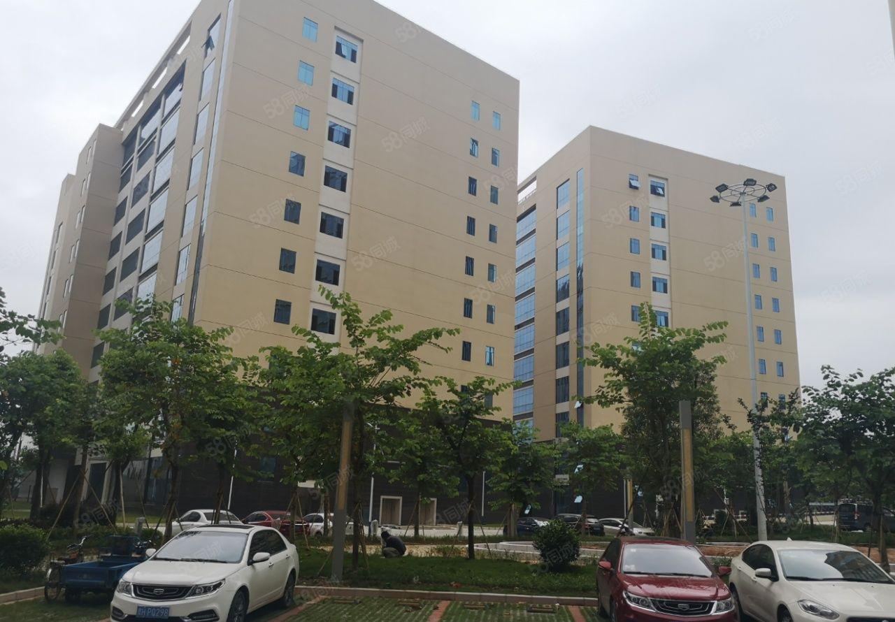 龙华高端独院红本厂房6500平米可整租分租，适合高新企业