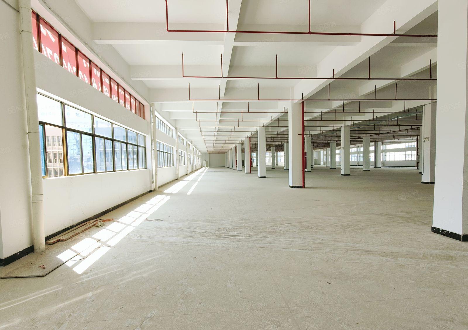 观澜桂花路工业园一楼厂房1500平，现成隔好办公室，合同8年