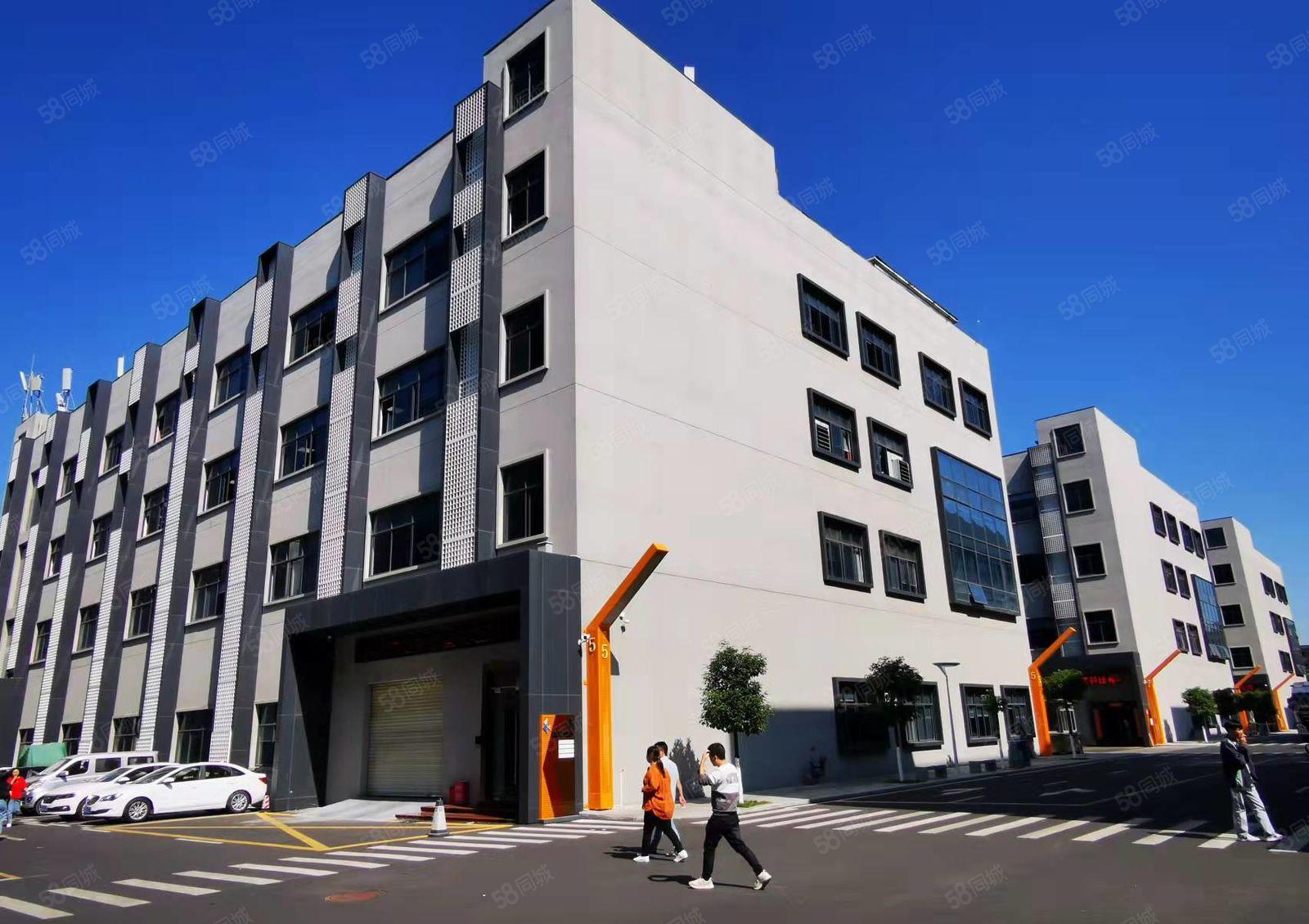 龙华油松大型电商园325平办公室仓库出租，100平起可分租