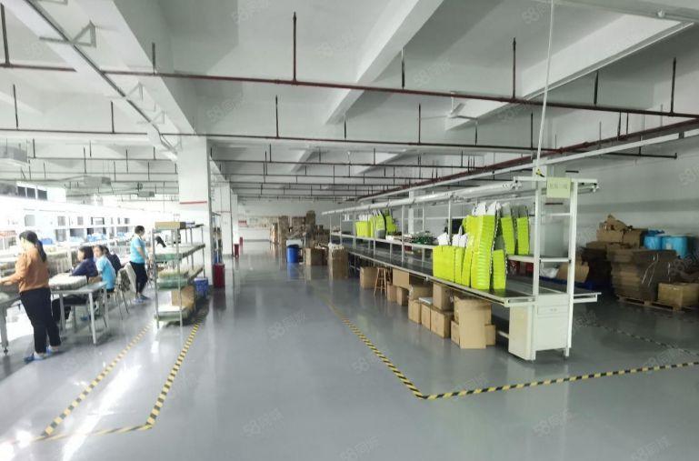 观澜精装修红本厂房出租一楼楼上3000平米原房东小面积200