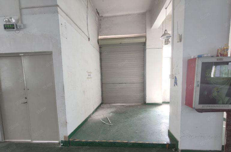 龙华大浪原房东布龙路边1250平厂房出租 产业园