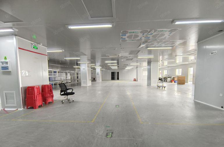 300平起分龙华中心厂房出租2000平方精装修办公室无尘车间