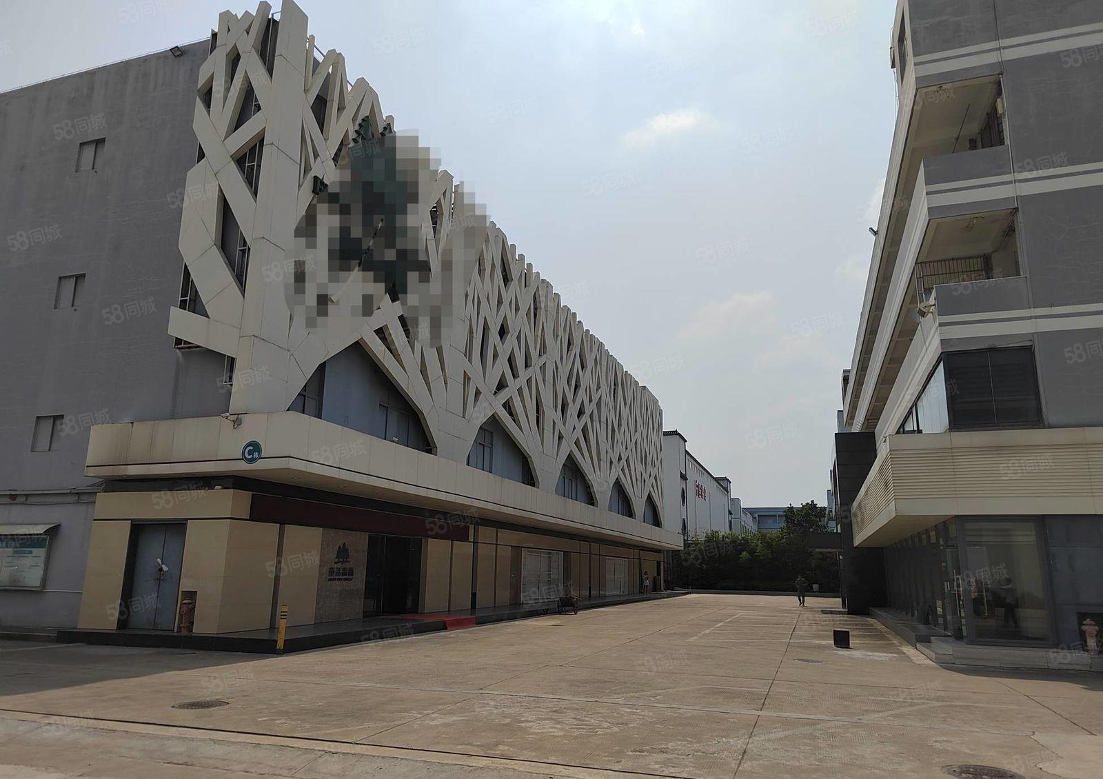 龙华大浪工业区电商产业园新出独栋厂房3600平方出租 可分