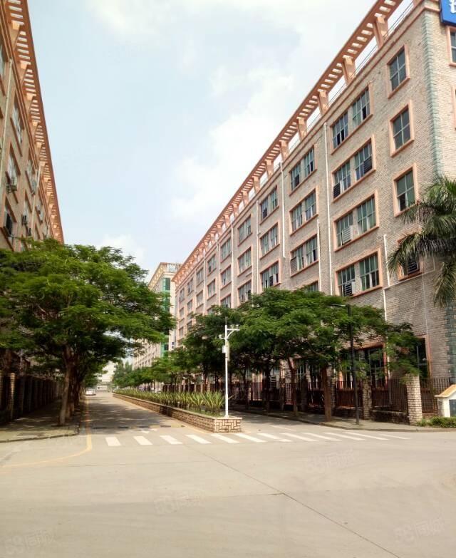 龙华大浪新出二楼550平带装修装修出租