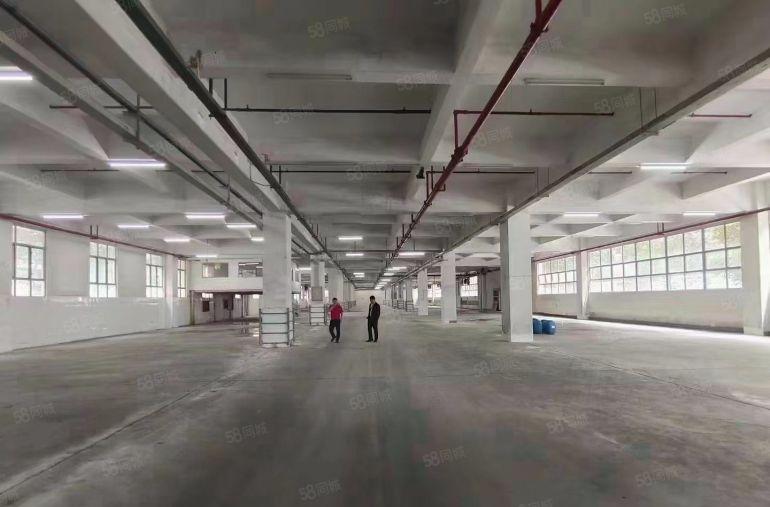 新空花园式红本厂房一楼4280平方，楼上4280平方可分租！