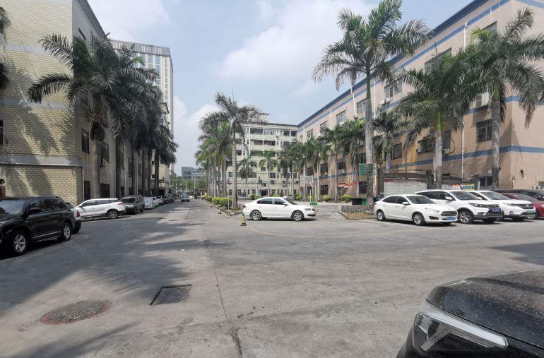 大浪嘉安达300至1000平原房东独院精装修一楼仓库厂房出租