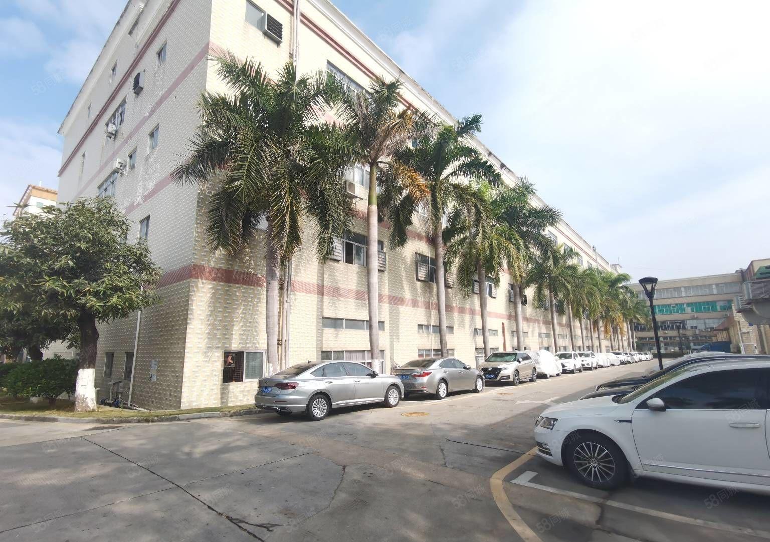 出租，石岩新出一二楼1000平方至5000平方厂房仓库出租