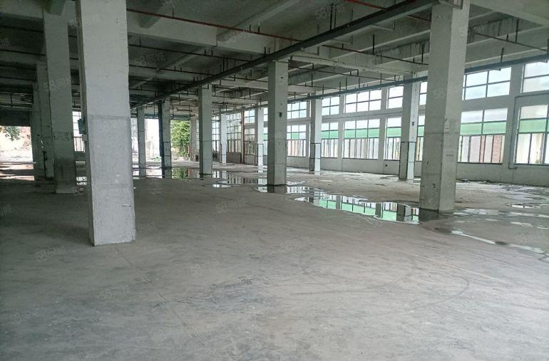 龙华独门独院3650平 前后超大空地 上下两层