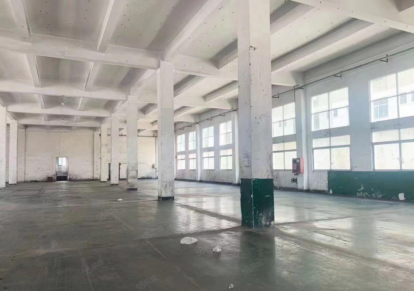 深圳观澜同富裕工业区新出一楼3000平方红本厂房出租