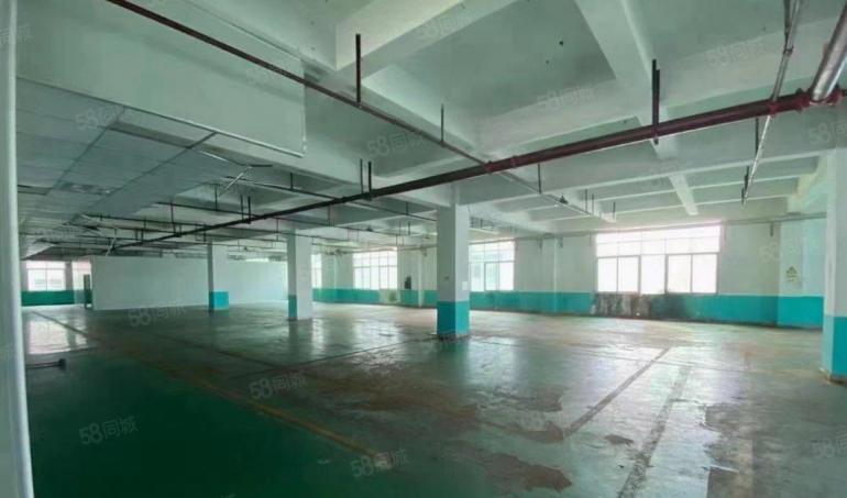 D9 137 2378 8242房东直租观澜独门独院沿街厂房