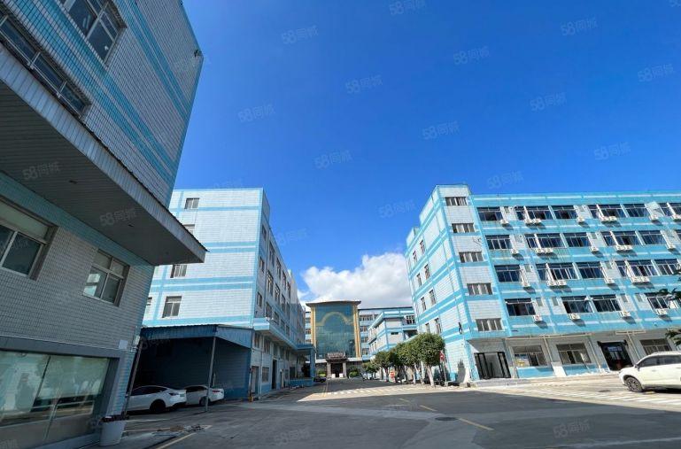 龙华清湖地铁口原房东出租2000平 办公电商仓库