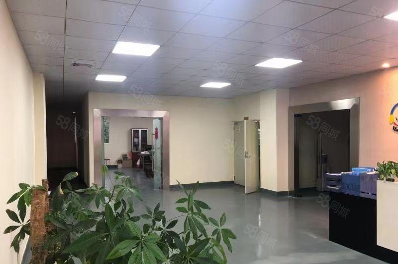 章阁楼上一整层厂房出租，带豪华装修，特价优惠20元