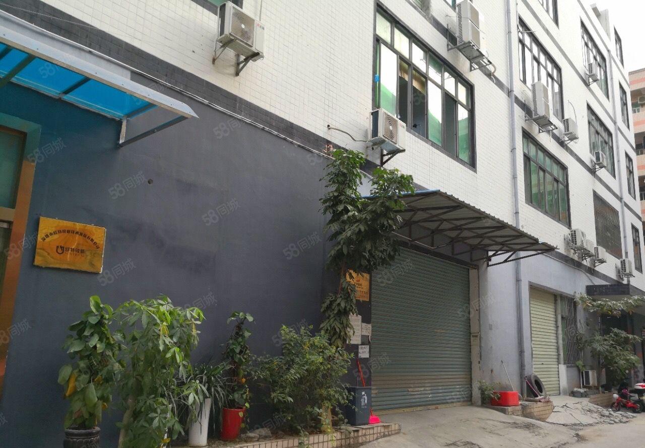 龙华汽车站附近新出一楼标准厂房1300平出租