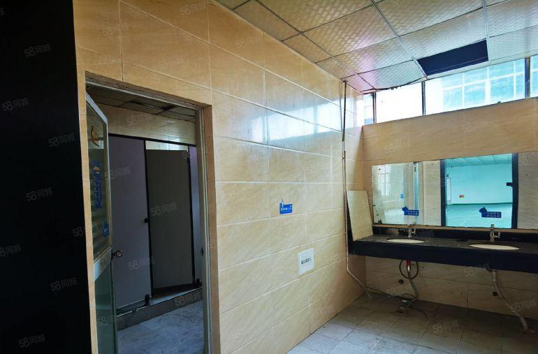 龙华浪口工业园1000平原房东精装修办公室仓库厂房出租可分租