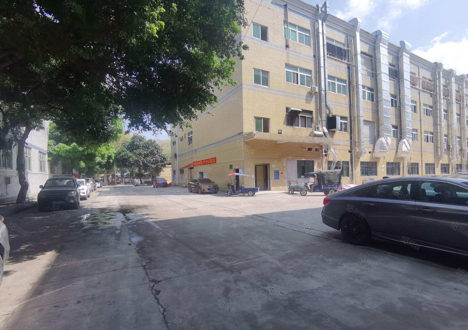 观澜松元环观中路有轨电车站台附近新出1200平楼上厂房出租。