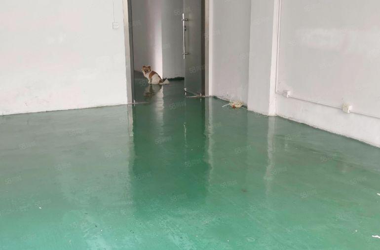 龙华观澜80平小面积厂房办公室仓库招租