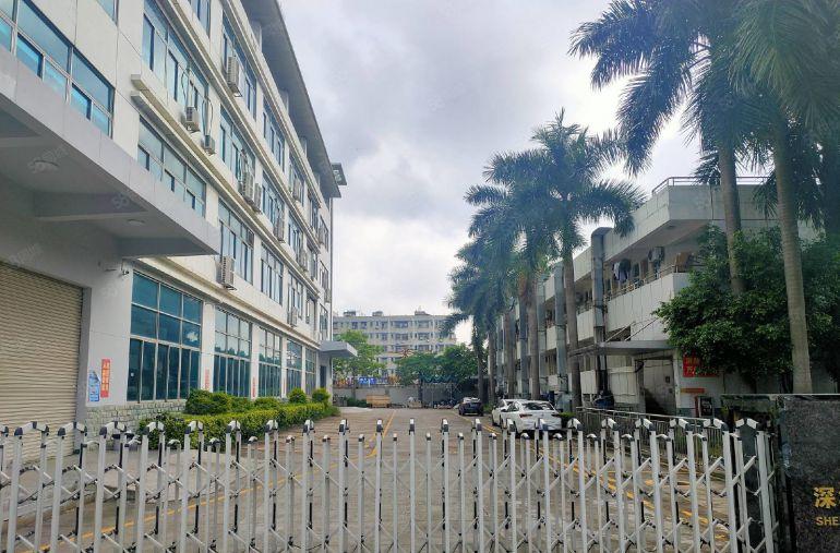 龙华观澜带装修1900平厂房出租 可分租 停车免费 低价出租