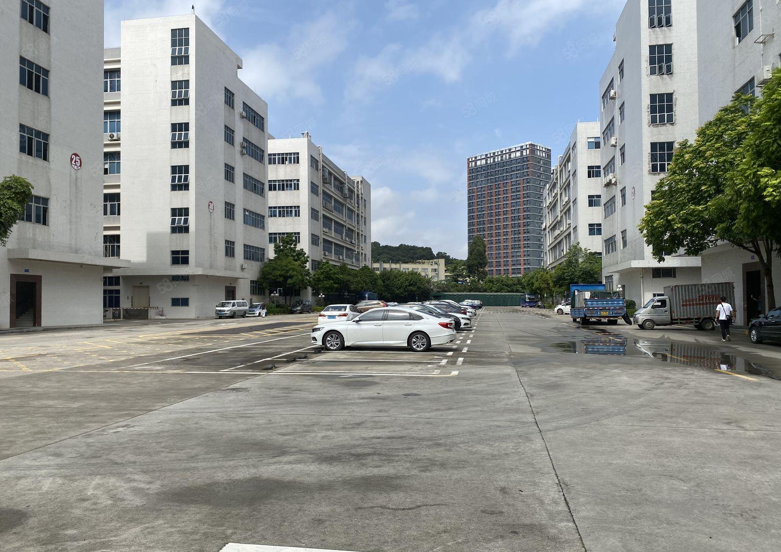 龙华清湖原房东实际面积出租12000平厂房出租可以分租精装修