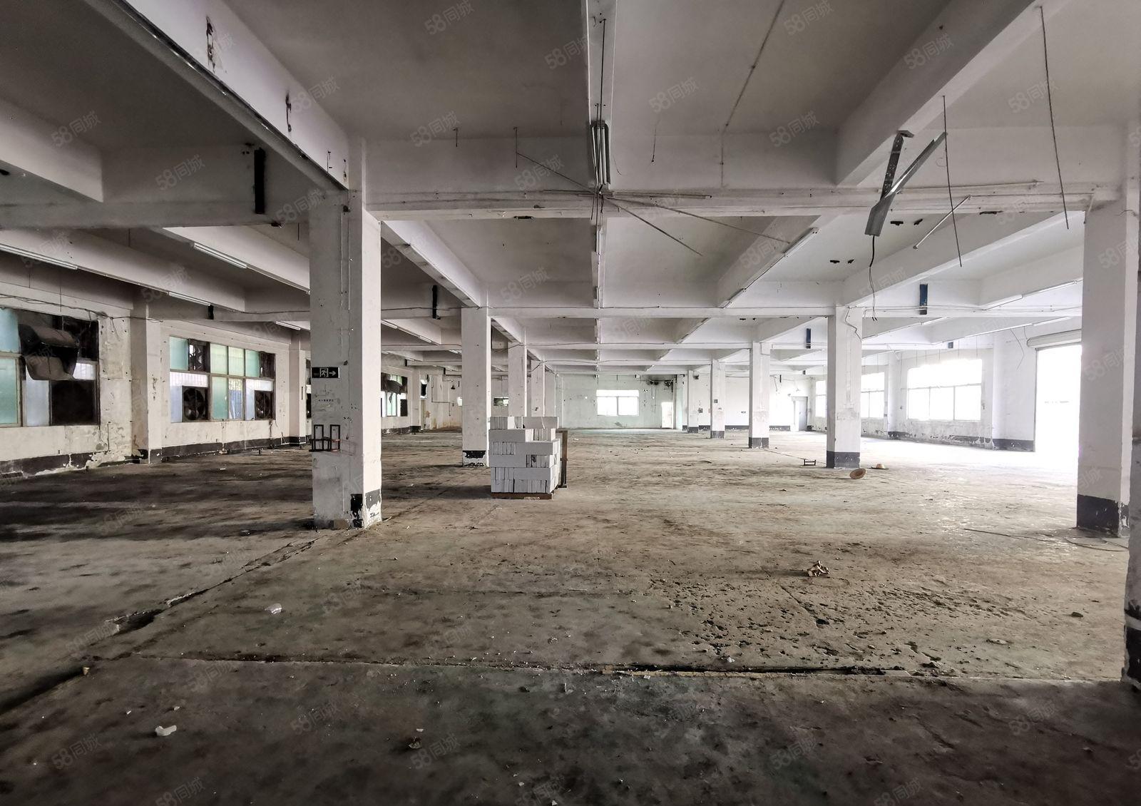 15元起观澜4000平原房东独门独院厂房出租空地超大可办环评