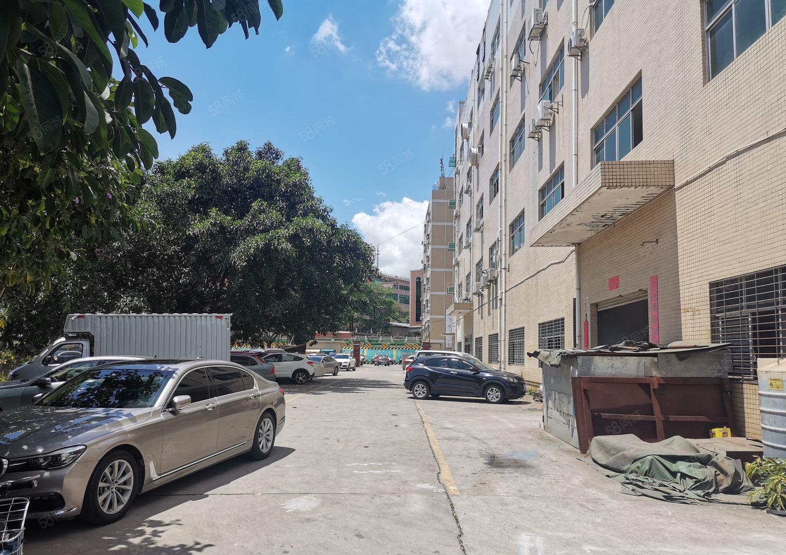 龙华观澜新田原房东楼上新出950平方豪华精装修房厂房仓库出租