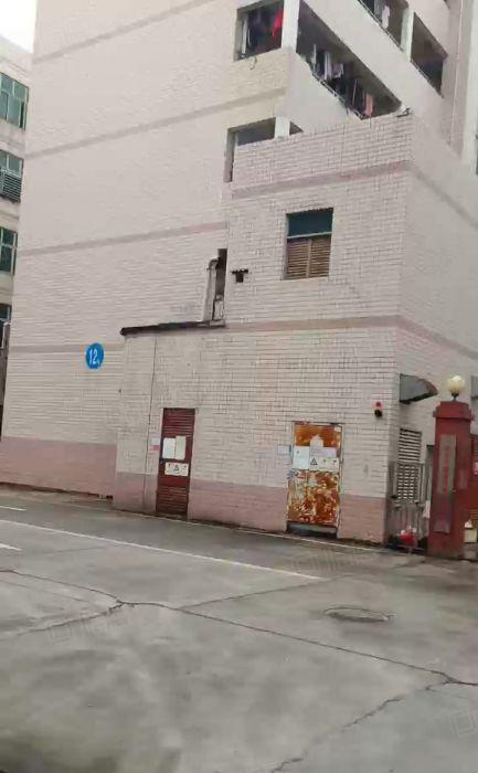 观澜一二楼新出1000平至5000平厂房仓库出租独院大小分租