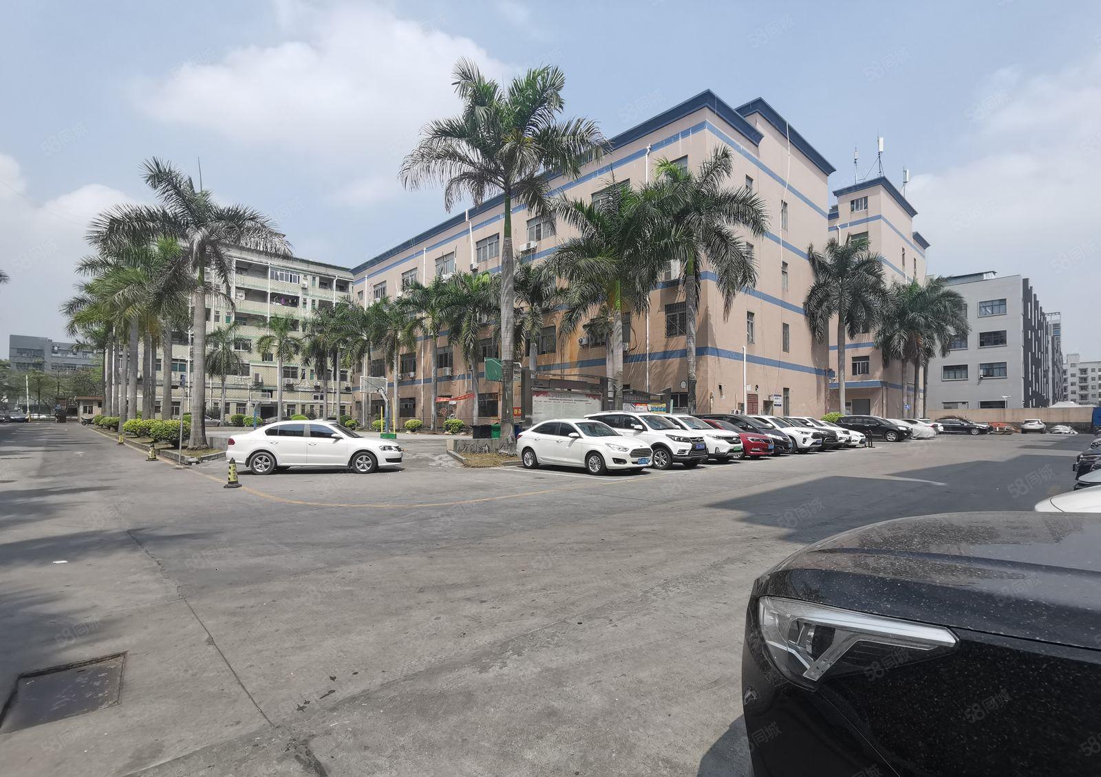 龙华油松300至1000平原房东独院精装修办公室仓库厂房出租