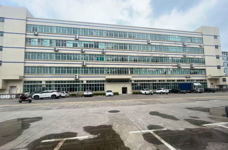 观澜主干道带消防厂房出租2000平，租金每平20元起