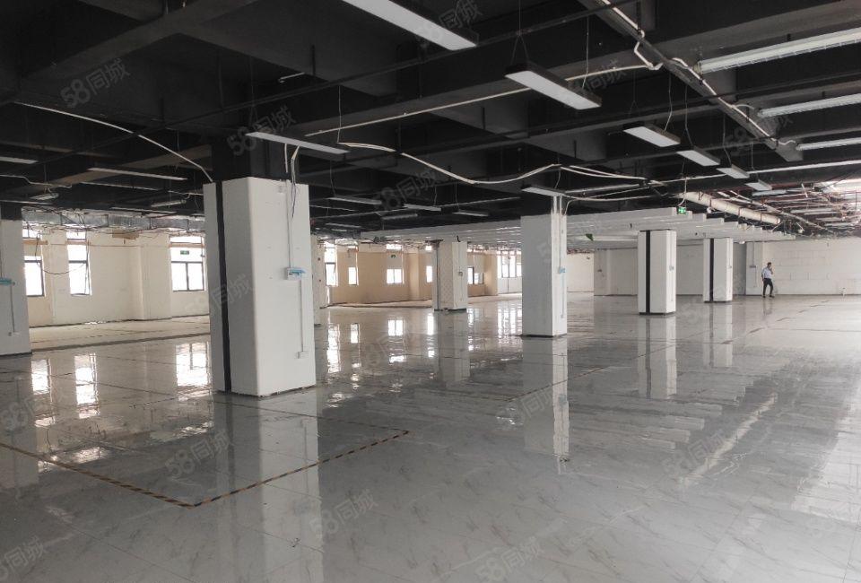 龙华大浪高薪工业园区厂房仓库出租分租一楼物流仓首层高度6米