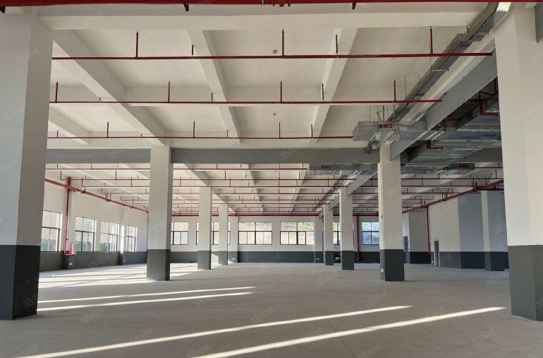 陈江惠环特价9.9元，2000平米全新厂房免租期2个月