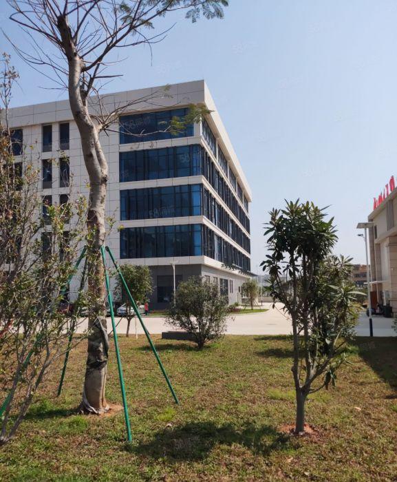 陈江东升工业区园区独院厂房5层12000平方一手房东直租含税