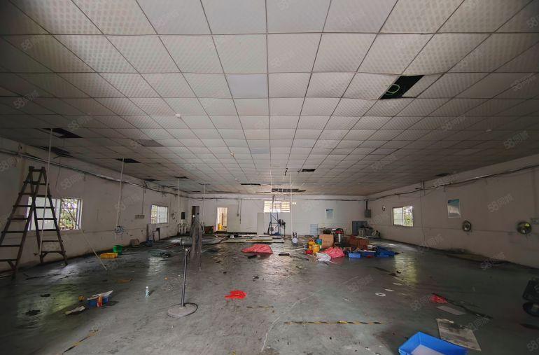 仲恺平南工业区单一层500平独栋厂房出租