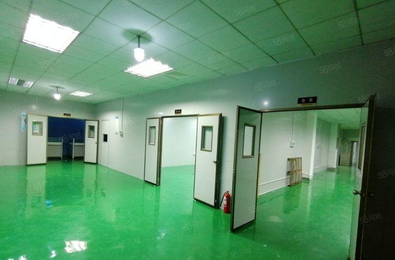 仲恺2000平方精装修厂房出租，可分租