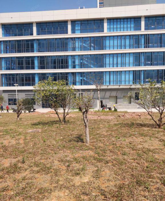 陈江东升工业区园区独院厂房5层12000平方一手房东直租含税