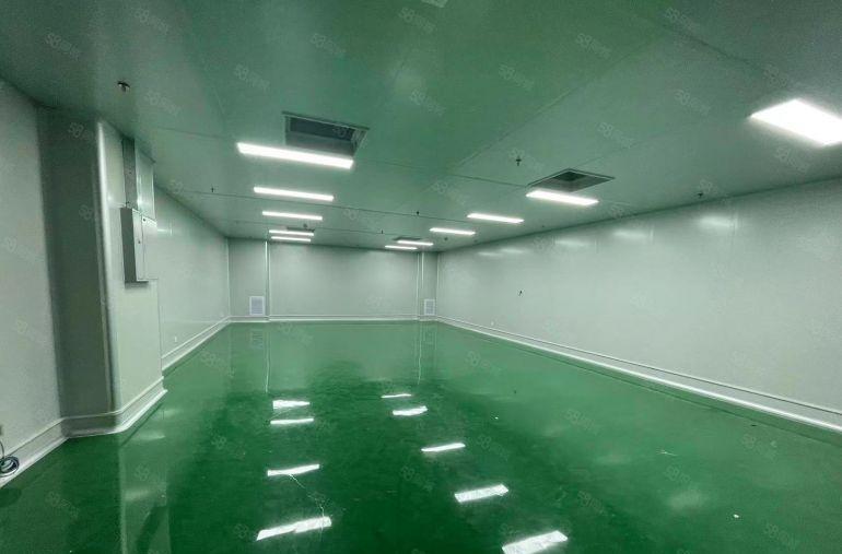 免租半年 全新无尘车间 实际面积独门独院