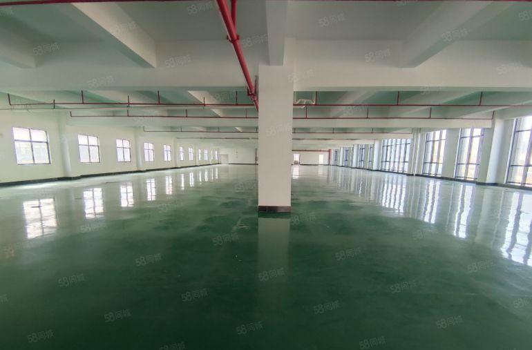 实际面积11元！500起分。惠环tcl附近楼上精装修房东直租